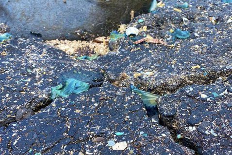 科學家在西班牙海岸發現焦油和微塑膠的混合物。 圖／擷取自Universidad ...