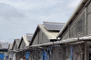 彰化縣芳苑鄉一家養豬場日前清晨下雨打雷後，疑因上方太陽能板漏電，造成近160頭豬傷亡，其中27隻種豬已被電死。圖／民眾提供