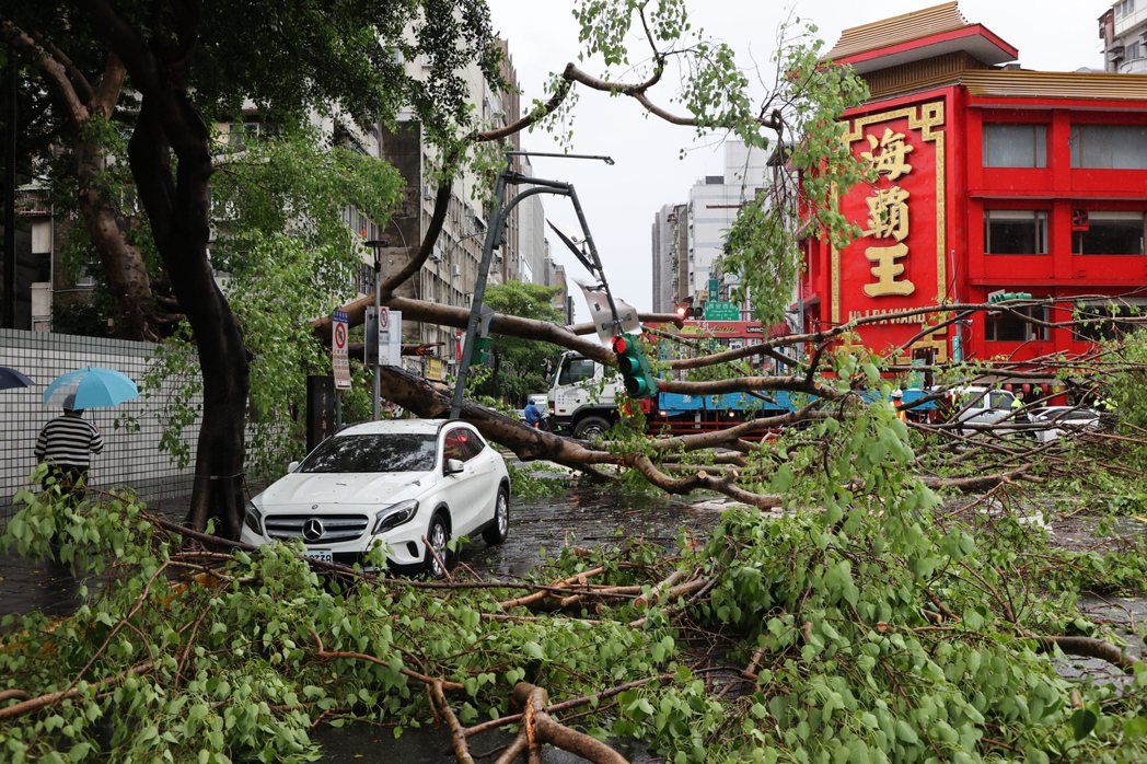 北部午後大雨，台北市大同區長安西路、西寧北路口有路樹倒塌，砸毀2輛汽車及1座紅綠燈，所幸未傳出有人傷亡。記者潘俊宏／攝影