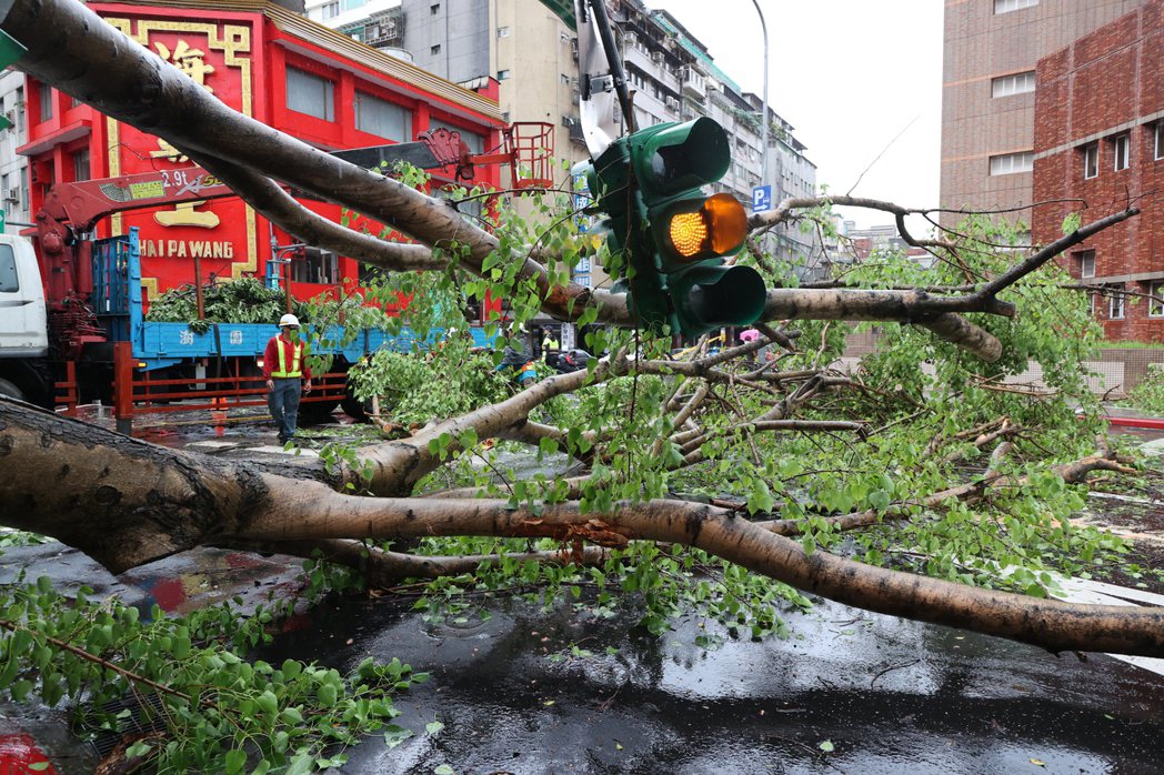 北部午後大雨，台北市大同區長安西路、西寧北路口有路樹倒塌，砸毀2輛汽車及1座紅綠...