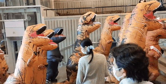 日本鳥取縣立博物館邀請「暴龍子孫」一同看展，畫面流出立刻引發討論。圖／取自鳥取縣立博物館官方推特