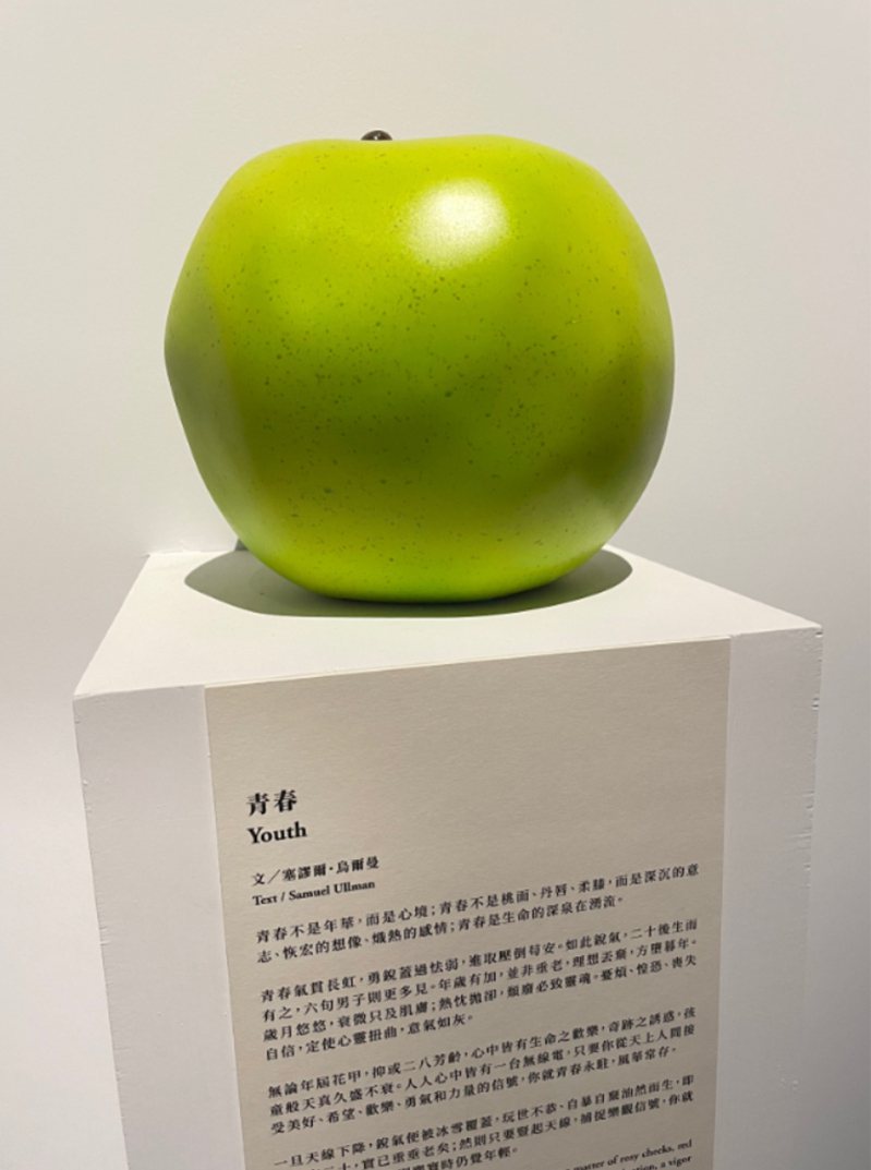 安藤青蘋果。拍攝／李清志