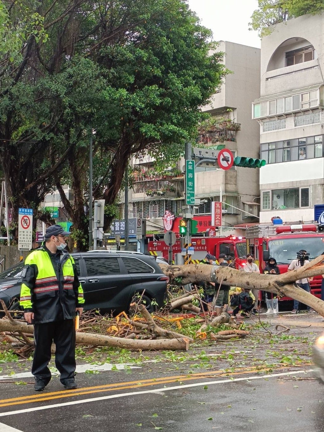 松山區一處路樹倒塌。記者李隆揆／翻攝