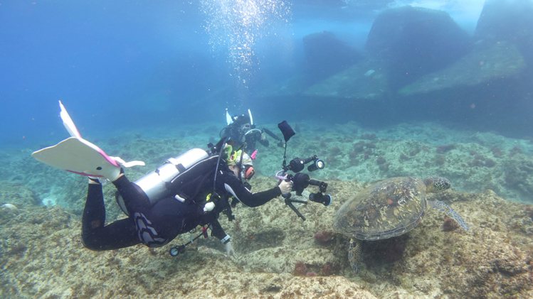 攝影師黃一峯與李維娜以iPhone拍下海龜強韌美麗的姿態。圖／蘋果提供