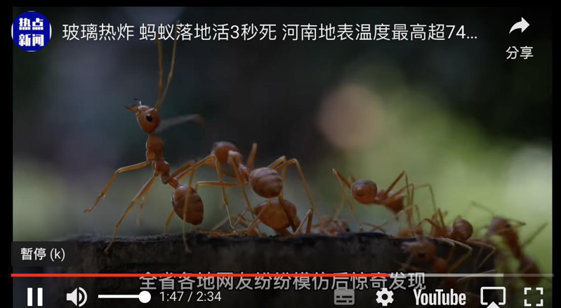 鄭州網友曬出家中「玻璃門爆裂」、螞蟻在陽光下3秒被熱死的影片熱傳。（微博照片）