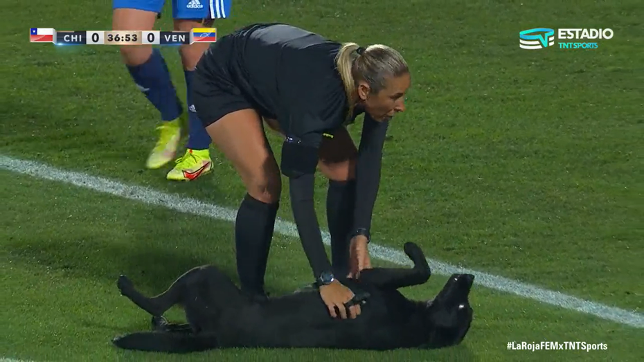 一隻黑汪闖進國家女子足球隊的比賽，躺在草皮上翻肚討摸摸。 (圖/取自推特「TNT Sports Chile」)