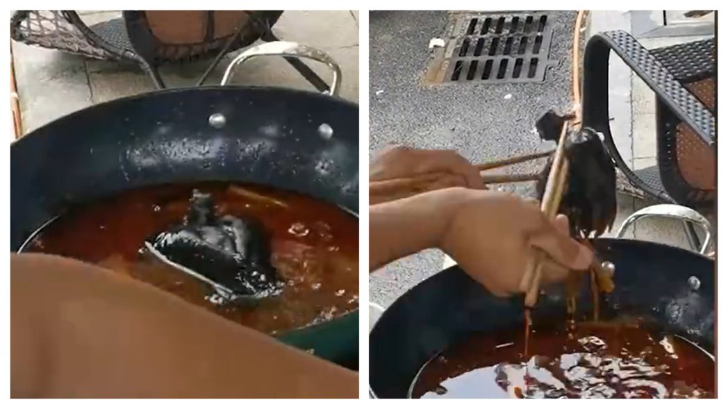 男子和朋友一起吃麻辣鍋，一隻黑鳥飛撲進鍋內，嚇得他們趕緊把鳥夾出來沖洗。 (圖/取自影片)