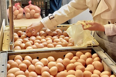 7月起，飼養豬、雞的飼料每公斤將調漲0.4元，所以蛋價會不會因此調升受到關注。本報系資料照