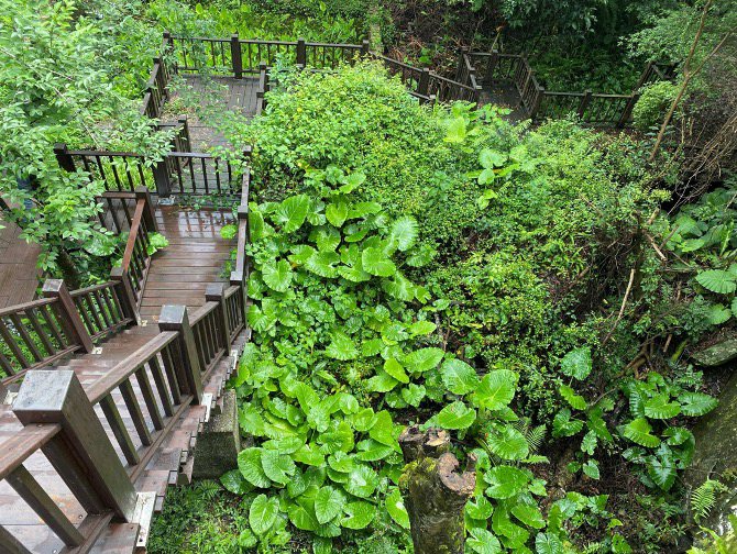 烏來原住民主題公園風景優美，園內更有「蛙之谷生態基地」。 圖／新北城鄉局提供