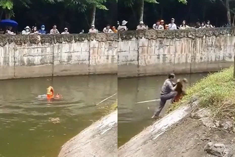 越南動物園一隻猩猩為了拿到遊客丟的食物，不小心跌落水中，所幸被動物園管理員救起。圖擷自@SintesisMexico