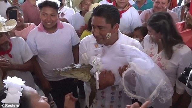 墨西哥小鎮鎮長維克多遵循傳統娶了一隻鱷魚。圖擷自Daily Mail
