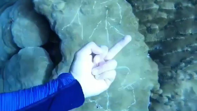台東蘭嶼王姓潛水教練，昨天在母雞岩浮潛區發現海底1朵約200歲珊瑚被刻「你好」大字，怒比中指譴責惡行。記者卜敏正／翻攝