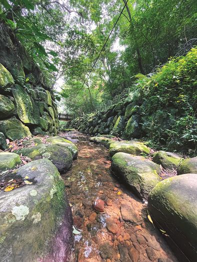 渓流に沿ってハイキングをすると、夏の台北でも十分に涼むことができます。