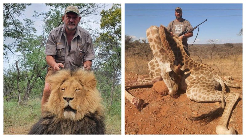 一名獵人專門經營殘忍獵殺行程殺死野生動物，日前被發現遭行刑式槍決爆頭死亡。 （圖／取自推特）