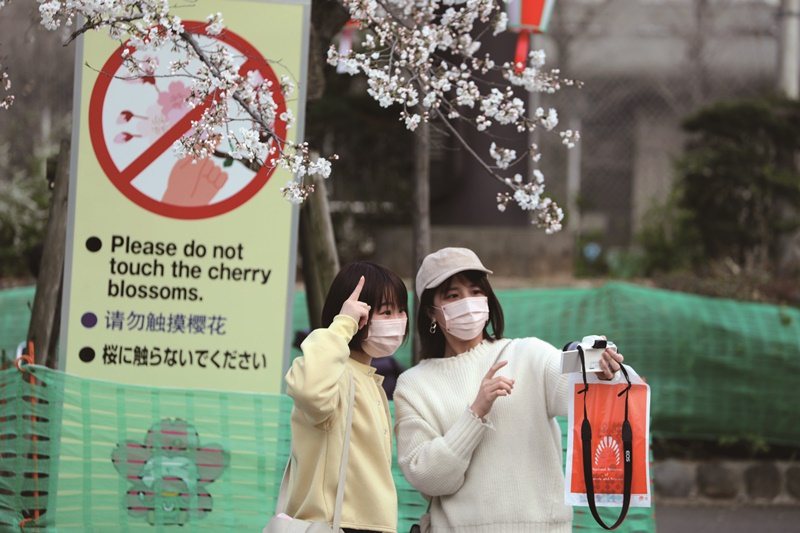 東京知名賞櫻景點上野公園每到花季總會吸引許多賞櫻民眾。