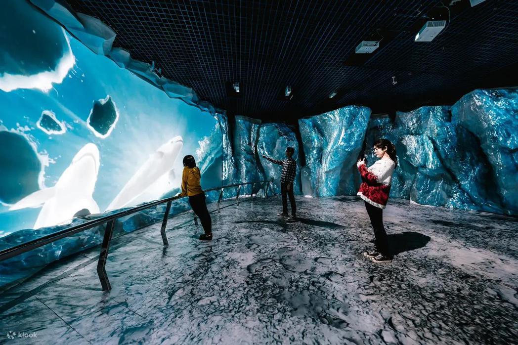 到屏東海生館的極地水域區，透過空間造景搭配光雕投影，體驗踏入極地的感動。圖/Kl...
