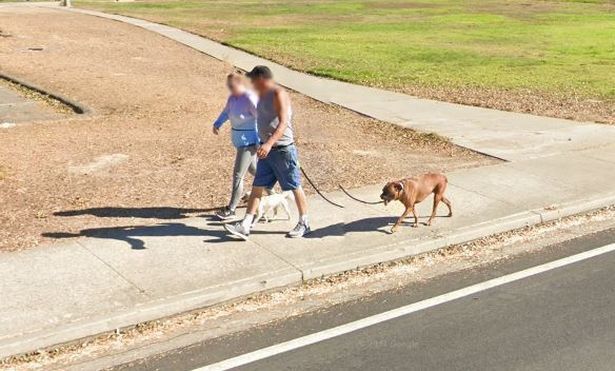 實際上只是Google地圖出問題，其實另一個角度看狗狗就正常了。 (圖/取自Go...
