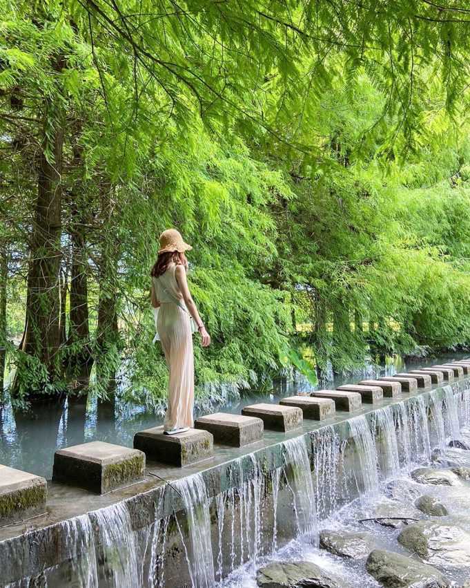 夢幻湖的源頭有座落羽松森林，要走到對面可是要走在水上的石磚步道。 圖／好好玩台灣