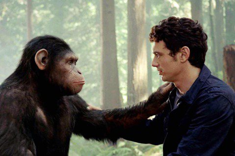 「Caesar is home...」人不是從黑猩猩演化而來，而是在大約六百萬年...