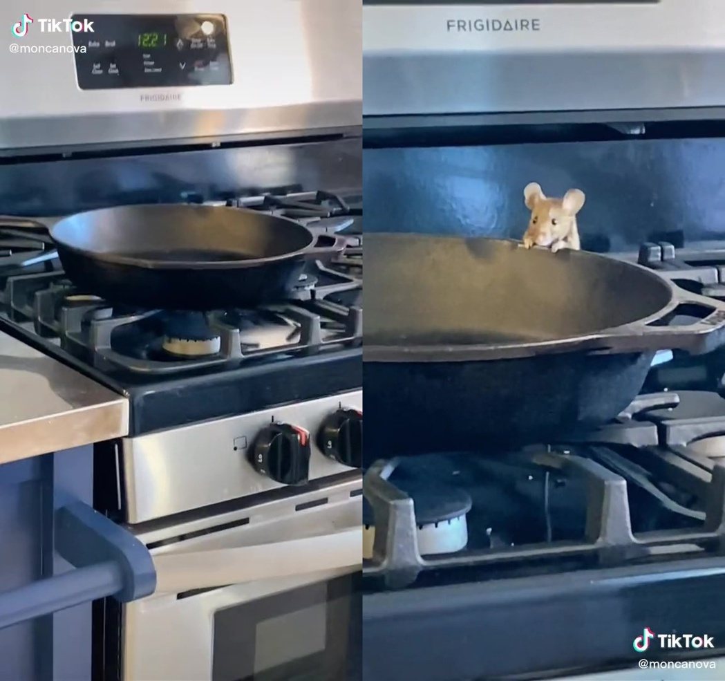 老鼠眼睛水汪汪的趴在平底鍋旁，並探頭看向鍋底，可惜鍋底內空無一物，或許老鼠正在思考要煮甚麼？圖／翻攝自抖音