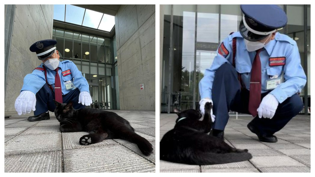 喜歡闖美術館的黑貓終於見到自己熟悉的警衛叔叔，高興衝上去狂蹭討摸。 (圖/取自影片)