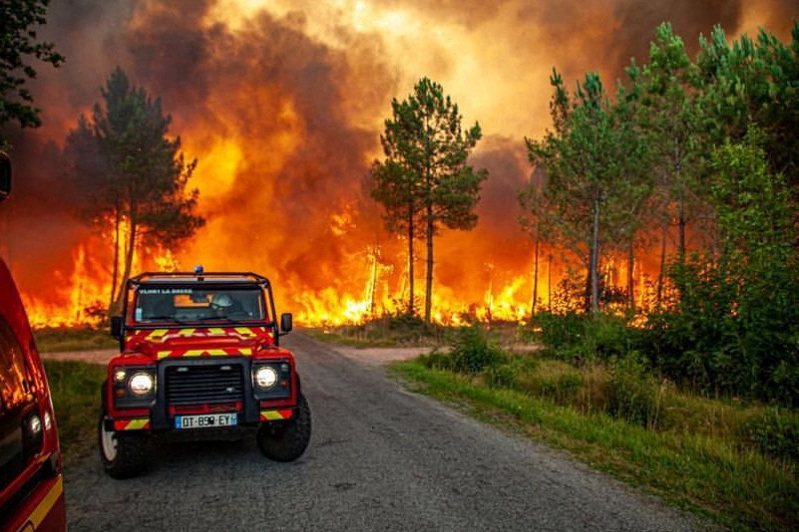 法國西南部朗迪拉十三日遭野火肆虐，樹木被火勢吞噬。（路透）
