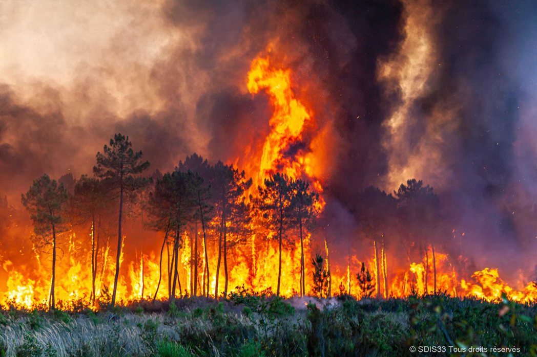 法國西南部因熱浪引發野火，朗迪拉斯一處樹林17日遭大火吞噬。 美聯社