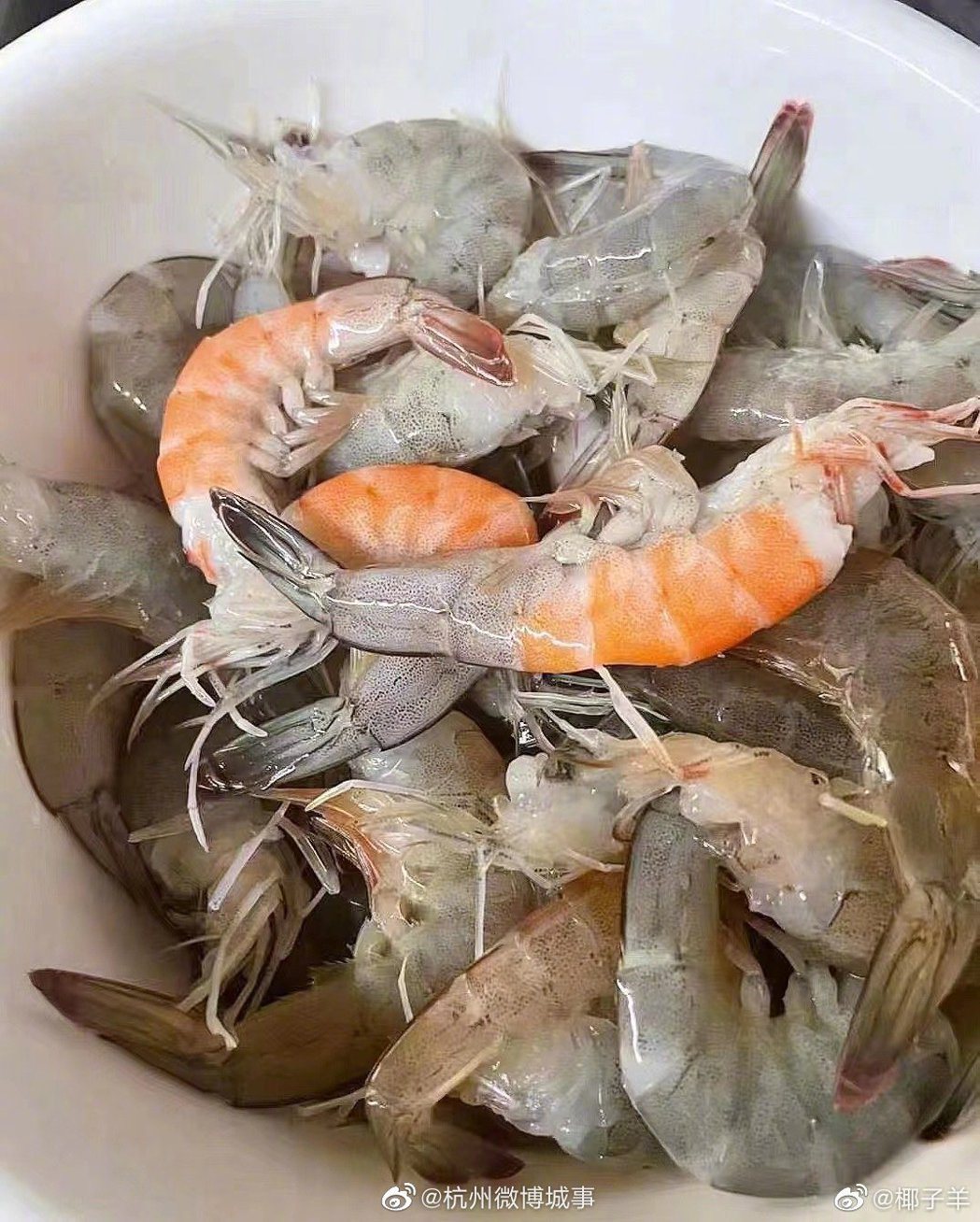 一名女子從市場買活蝦回家料理，到家打開塑膠袋驚見蝦子活活煮熟三隻。 (圖/取自微博「杭州微博城事」)