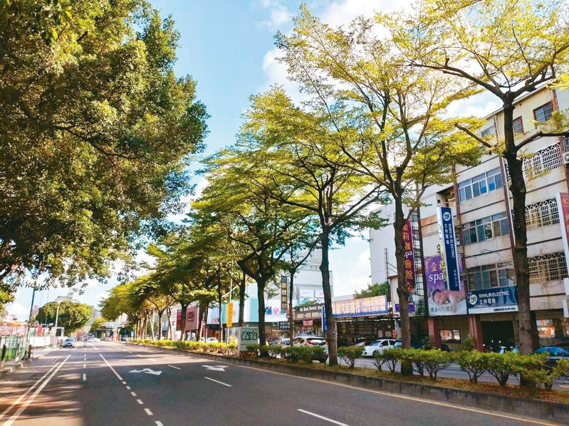 台南市第一期捷運藍線經過有綠帶的中華東路，民眾擔心植栽會受到破壞。記者鄭惠仁／攝影