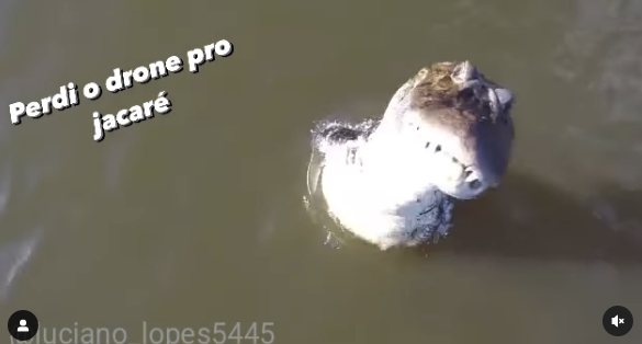 無人機行經爪哇河飛行時，意外遇到一隻巨大短吻鱷，鱷魚躍起將機器一口咬下。圖擷自Instagram