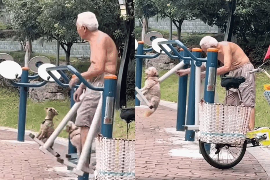 爺爺跟狗狗一起在公園「健身」相當溫馨。圖擷自米克斯傳奇