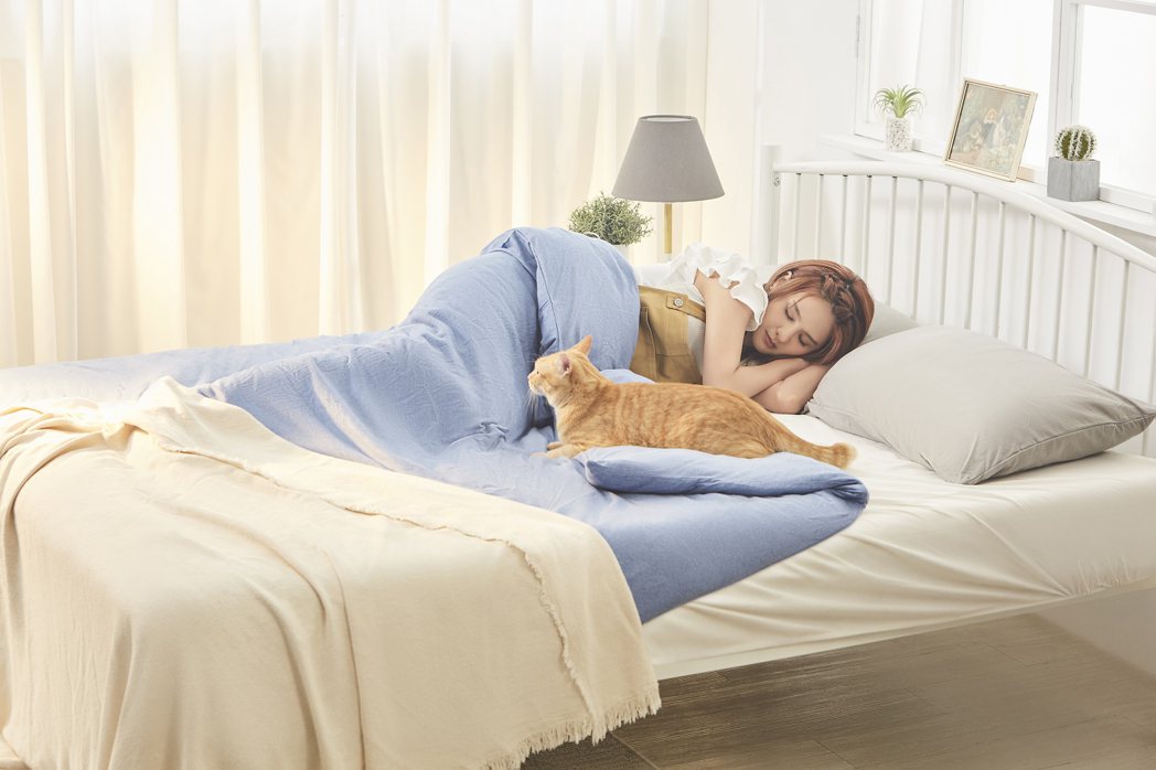 郭靜在新歌「你怎麼還不睡呢」MV化身最愛的貓咪。圖／星動娛樂提供