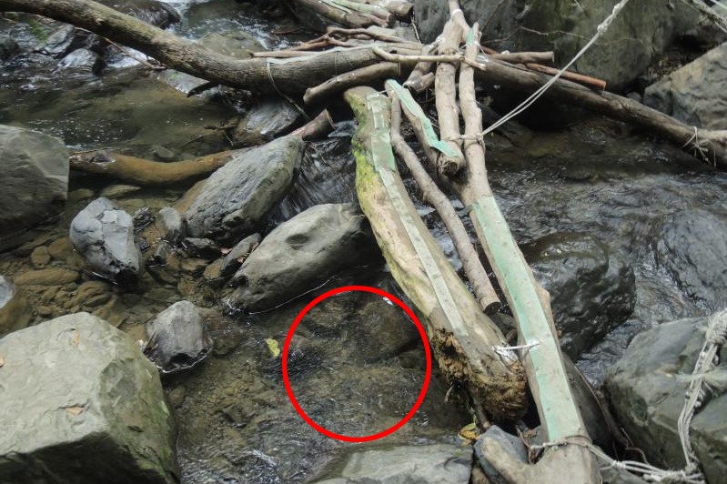 新北市樓姓老翁在2015年間失蹤，2016年底，張姓撿骨師在新北市雲森瀑布一處溪旁，發現一塊骨頭，經DNA比對是樓翁。圖／翻攝相片
