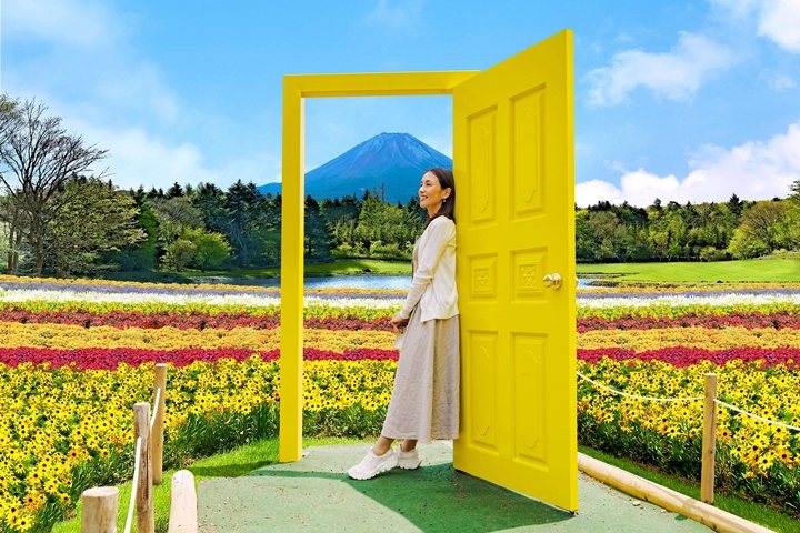 園內專門設置場景「幸福黃色門扉」，邀請遊客到訪賞花、盡情拍美照。　圖：富士急行／來源