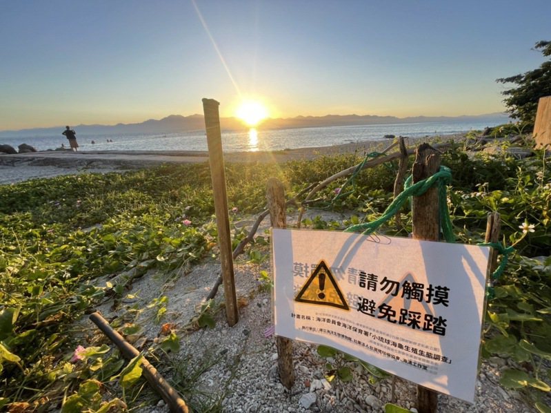 屏東小琉球暑假湧入大量遊客，為避免人為干擾，在海龜產卵的沙灘周邊架設隔離的漂流木，並豎立「請勿觸摸、避免踩踏」警示牌。圖／台灣咾咕嶼協會提供