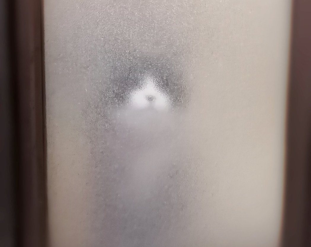 貓咪「富士丸」等不到主人，直接殺到浴室盯場。（圖／翻攝自推特@mt_fujimaru）