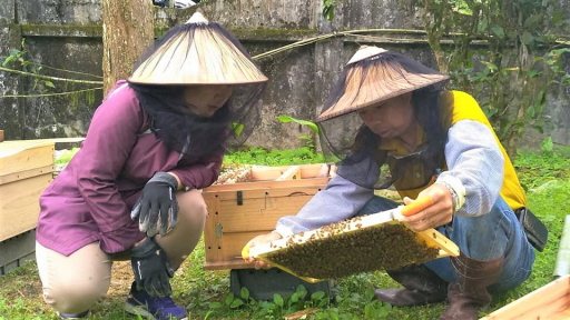 林珂竹（左）與平溪老農分享養蜂技術。 圖／林珂竹提供