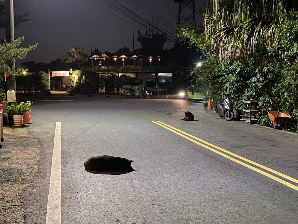 地上居然破了一個超級大的黑洞，馬路上其實躺著黑色的狗狗。圖／網友簡子寧授權提供