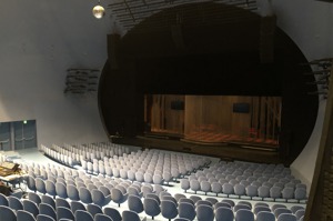台北表演藝術中心劇院座椅都經建築師庫哈斯精心挑選，圖為球劇場。記者何定照／攝影