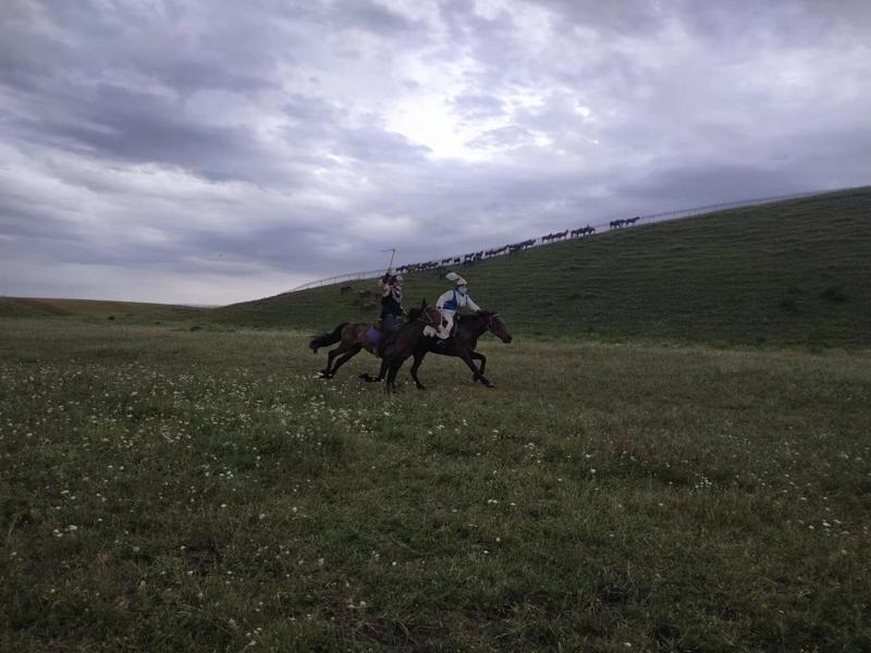 新疆伊犁州素有「天馬故鄉」之稱，為許多旅客喜好造訪之地。但近期因疫情升溫，影響到當地旅遊復甦。記者黃雅慧／攝影