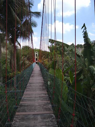 新整修完成的要月吊橋。 圖 ／台南市政府觀旅局提供