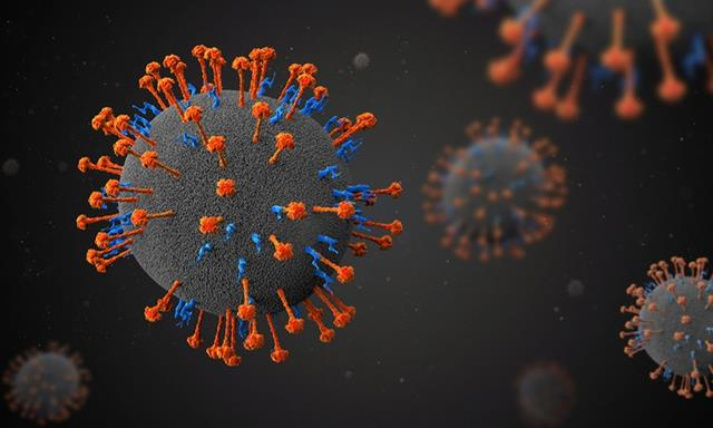醫學界發現一種基因組組織與其他亨尼帕病毒相同的新病毒「琅琊」。（澎湃新聞）