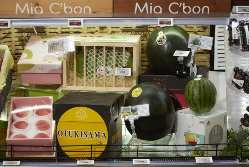 Mia C'bon祭出來自北海道的月型町西瓜，要價8000元一顆。 圖／Mia ...