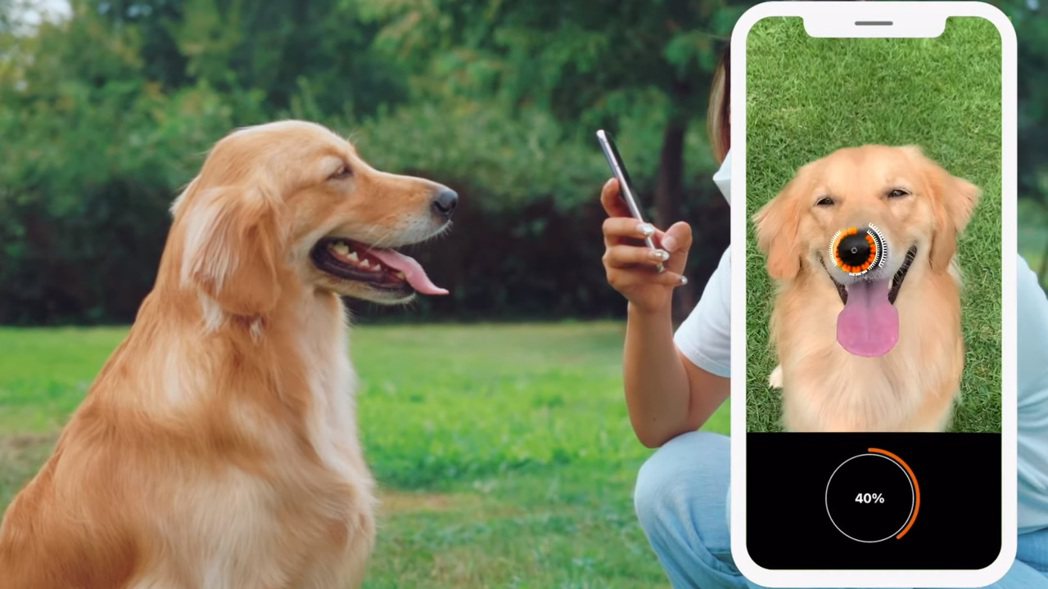 南韓新創公司研發Petnow一款App，可以利用掃描狗鼻子確認辨別身分。圖／擷自...