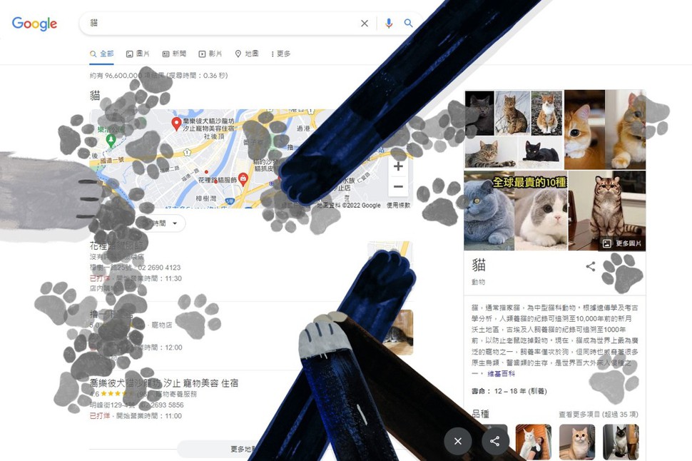 慶祝國際貓節日！Google搜尋這些彩蛋關鍵字 螢幕就有貓咪來踏踏