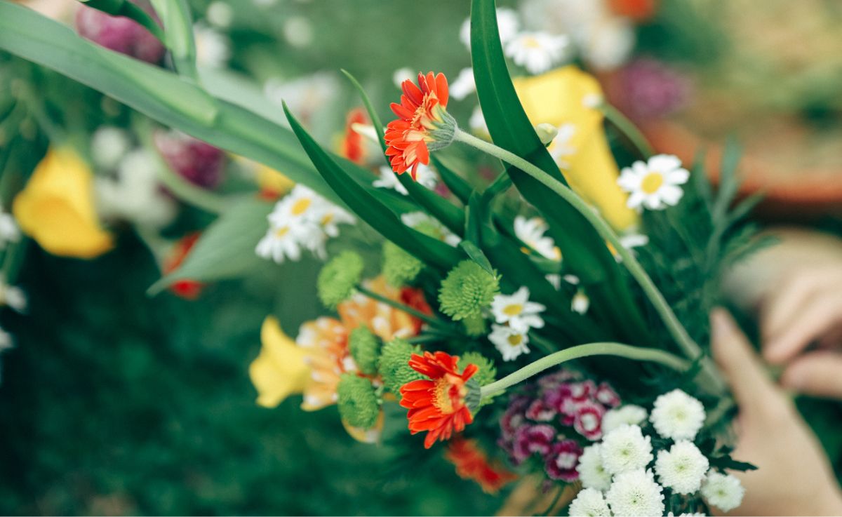 居家鮮花養護五步驟，可以讓鮮花更持久地綻放，延長切花的保鮮期至七到十天以上！ 圖...