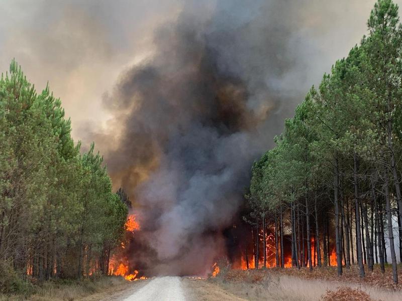 图为法国西南部森林大火的画面。 美联社(photo:UDN)