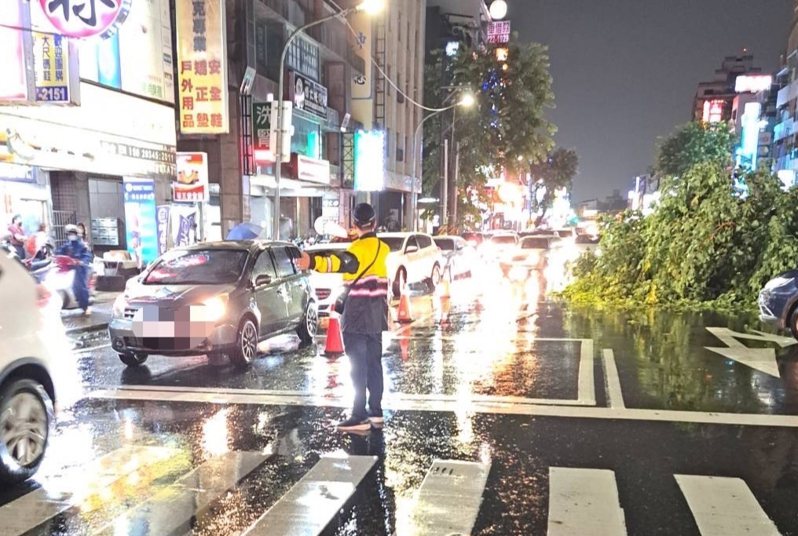 高雄市苓雅區建國一路路樹遭大雨強風襲倒，警方正疏導交通。圖／讀者提供