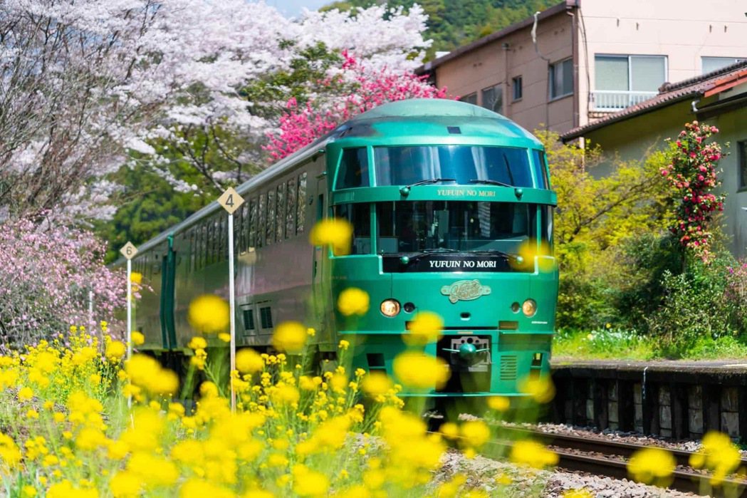 搭乘九州最經典的由布院之森觀光列車，奔馳於山林間賞景。業者提供