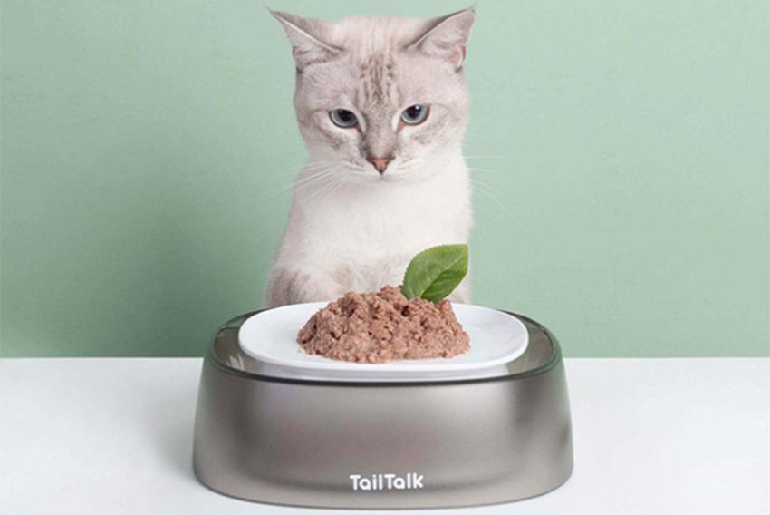 TailTalk寵物工學設計防蟻碗。 新光三越桃園站前店/提供